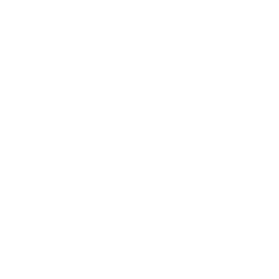 Logo VITA